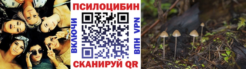 Галлюциногенные грибы мухоморы  Тула 