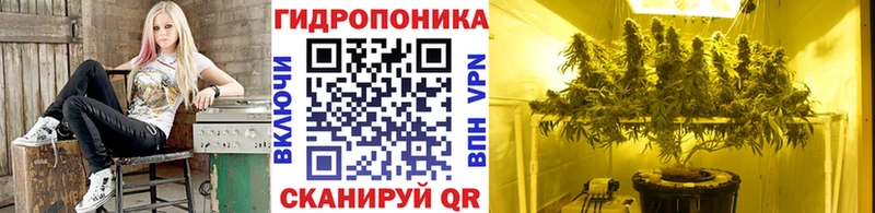 Каннабис Bruce Banner  Тула 